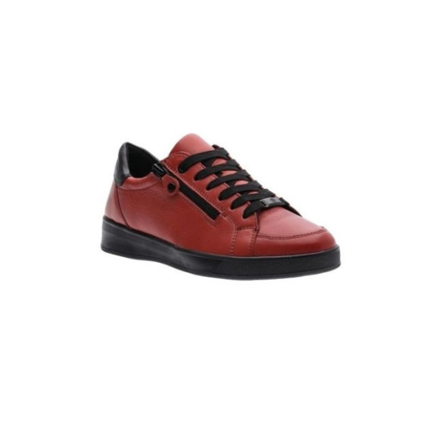 basket rom 34432