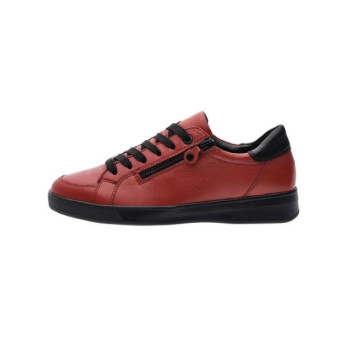 basket rom 34432