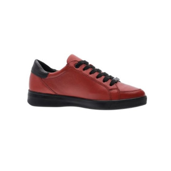 basket rom 34432