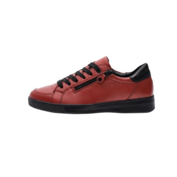 basket rom 34432